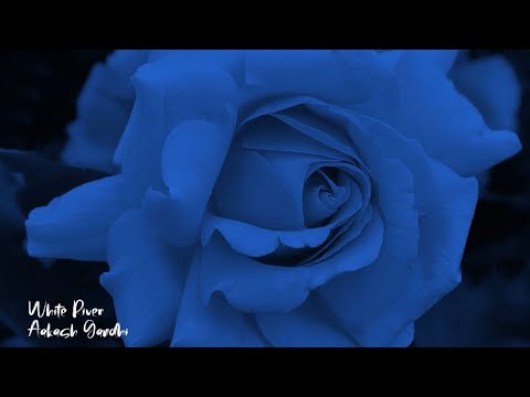 White River - Aakash Gandhi | 1 Hour