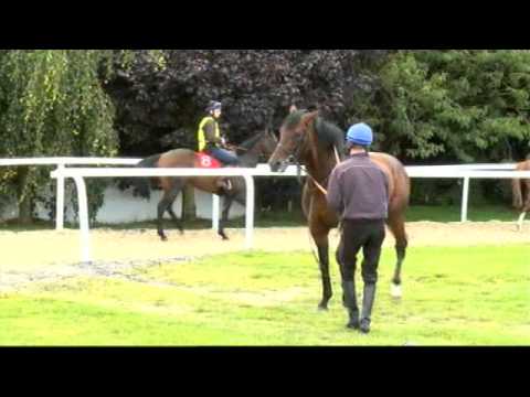 Richard Hughes on Canford Cliffs v Frankel