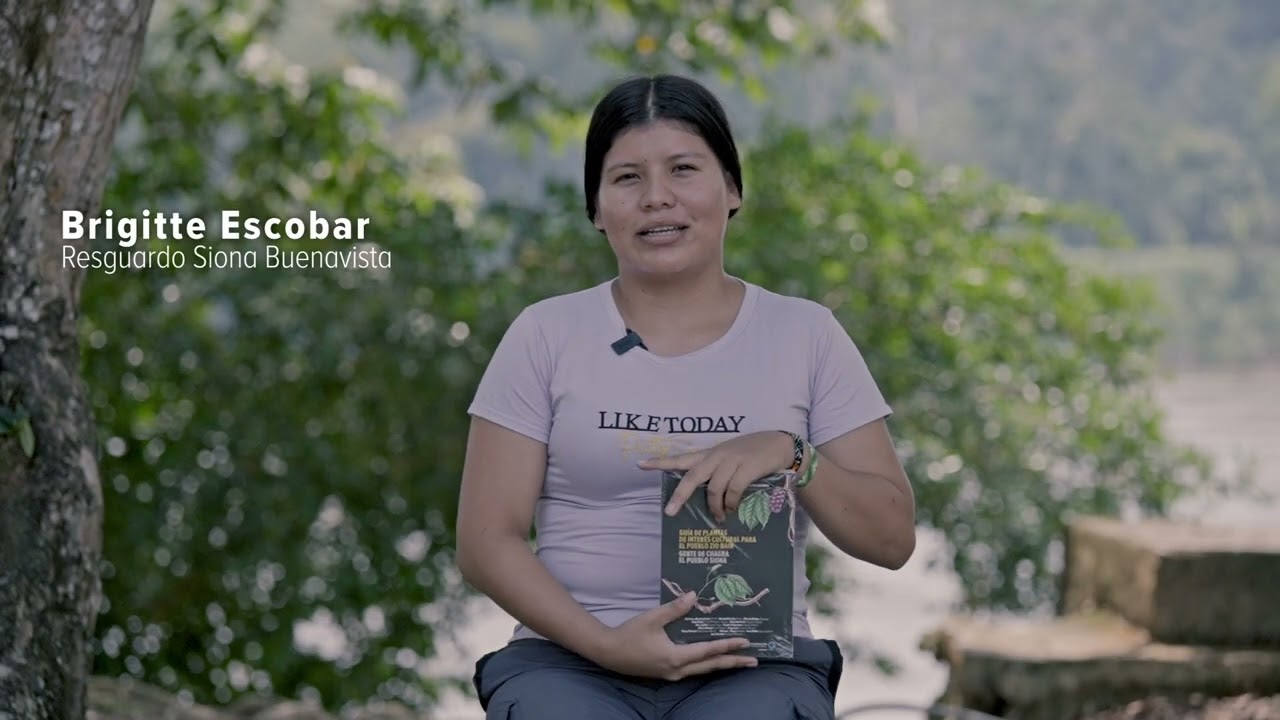 El legado del pueblo Zio Bain en una guía de plantas
