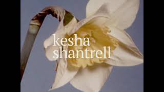 Bloom Music Video