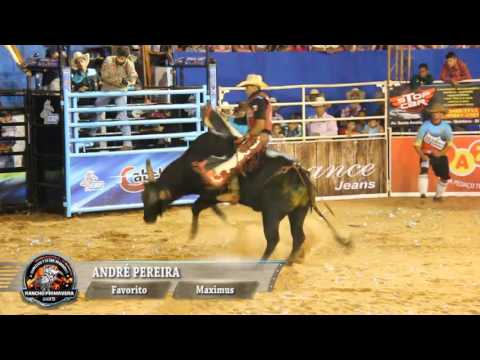 Rodeio de Quintana 2015 - MELHORES MONTARIAS / QUINTA FEIRA
