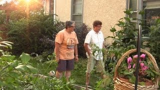 Gay marriage: Fairness, solidarity, love ...