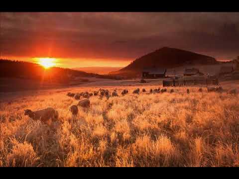 MYSZY & LUDZIE - Stodoły (Jaromír Nohavica - Stodoly)