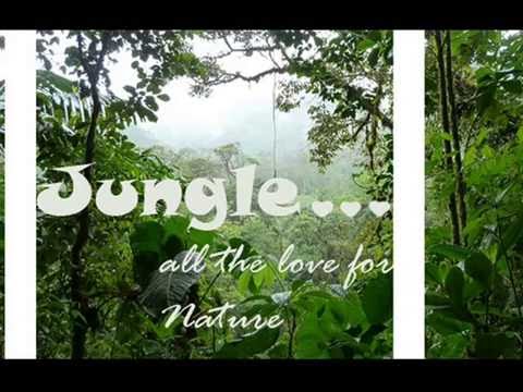 Jungle _________ abdess yakoubi