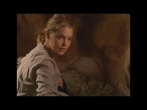 L'amore Arriva Dolcemente (2003) [Italiano]