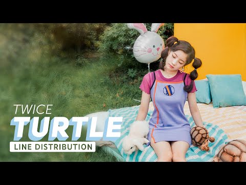 Download Twice Turtle Mp3 Free And Mp4 Download Twice Turtle Mp3 Free And Mp4