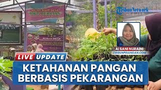 Manfaatkan Pekarangan Rumah, KWT Desa Jalatrang Tekan Pengeluaran Lewat Program Ketahanan Pangan