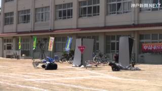 Re: [新聞] 國3中和段6車追撞畫面曝光 SKODA發現要