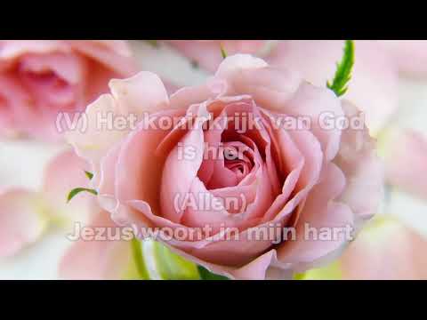 Opwekking 397 Jezus woont in mijn hart 1B