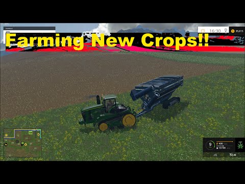 Farming simulator 2015 cutting doing cotton and more !!