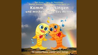 Sommer, Sonne, Sonnenschein Music Video