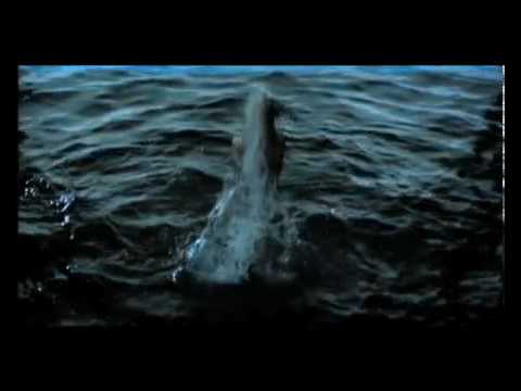 Amr Mostafa   Raquel Camins Awal Maawal (Cómo Decir)