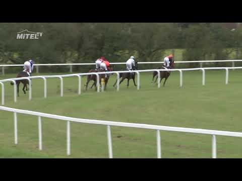 MI, 3. 9. 2017, 4. dostih - Cena firmy MAESTOSO Luna