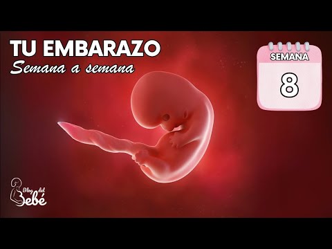 ❤️ Week 8 of pregnancy 🤰 Symptoms, tips and baby's development | Pregnancy week by week
