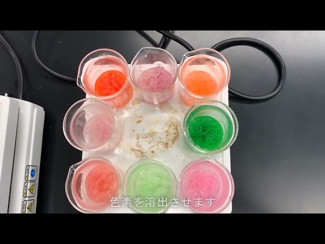 動画サムネイル