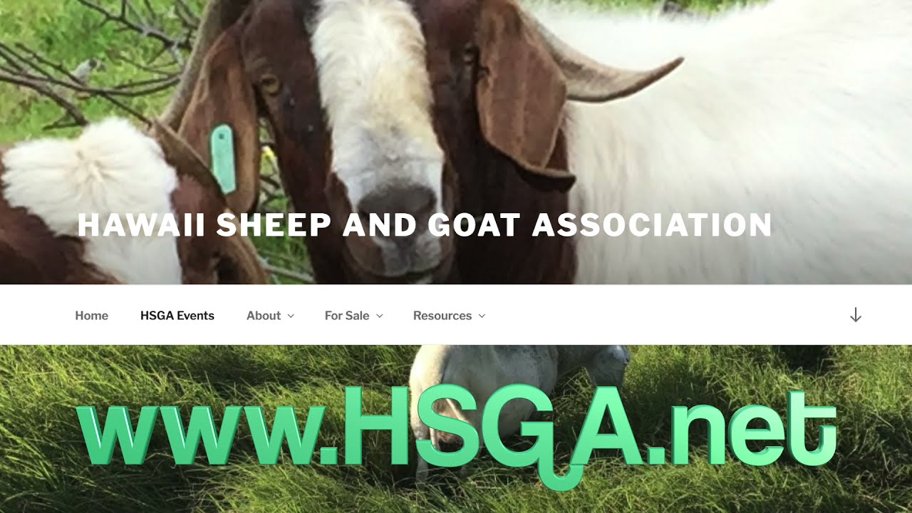 Video thumbnail - click to play