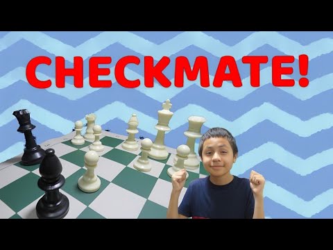 I Am A "PRO" CHESS Player!