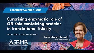 Surprising enzymatic role of OB-fold containing proteins in translational fidelity