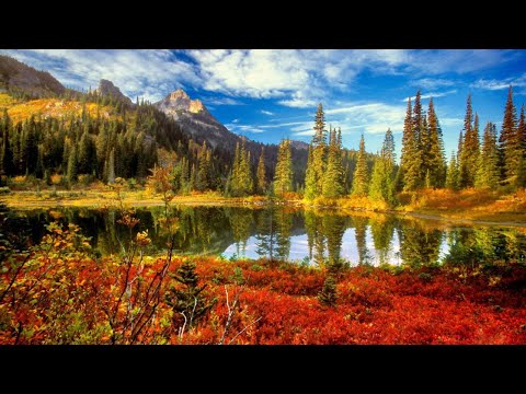 Chicane feat. Bryan Adams — Don't Give Up (Billy Gillies Rework)