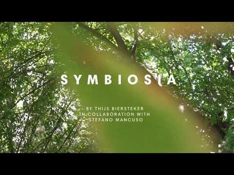 'Symbiosia' by Thijs Biersteker in collaboration with Stefano Mancuso