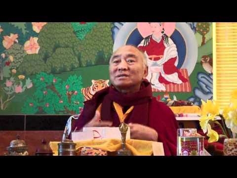 Four Types of Compassion