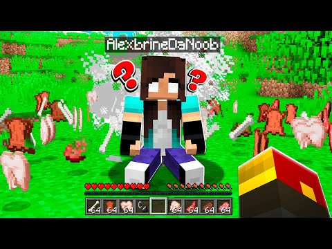 the UNTHINKABLE happened to noob Girl’s minecraft pets…