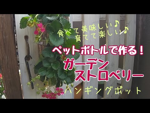 園芸 ペット