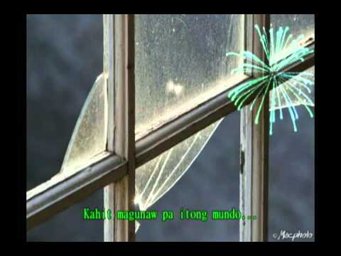 Ayoko Na...The Boss Band w/lyrics