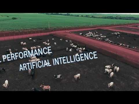 download lagu mp3 mp4 Bosch Cattle, download lagu Bosch Cattle gratis, unduh video klip Bosch Cattle