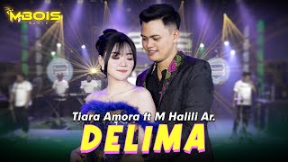 Download lagu Delima - Tiara Amora Ft. M.Halili - Mbois Music mp3