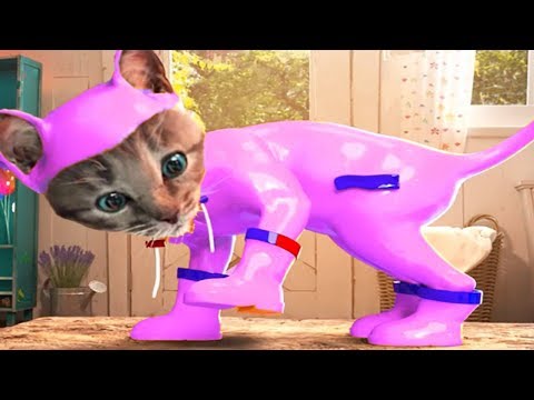 Fun Pet Animals Care Kids Games - Little Kitten Adventure - Kids Learn Colors,Puzzles, Pet Costumes
