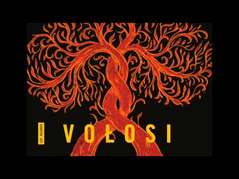 VOŁOSI - Pełnia / Full moon