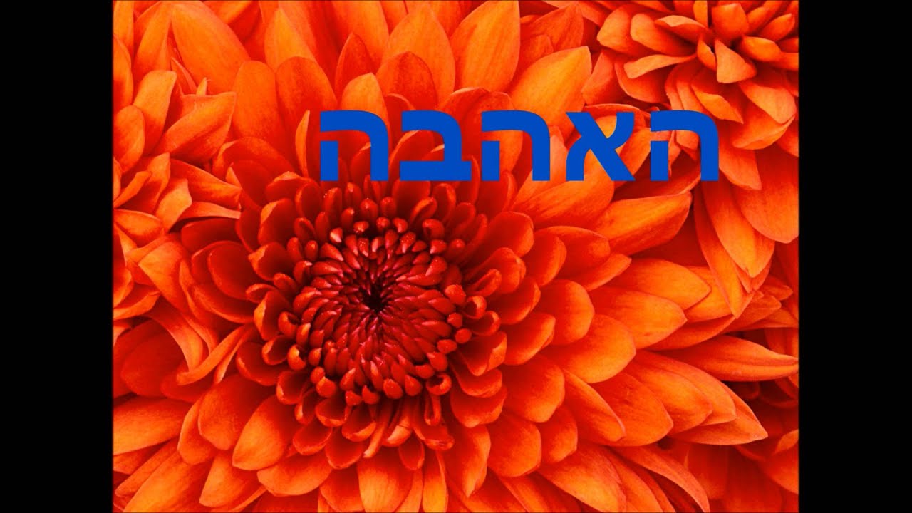 עדי רן – התבודדות
