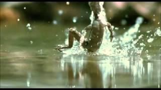 One Life - Jesus Christ lizard - Basiliscus plumifrons - French / Français