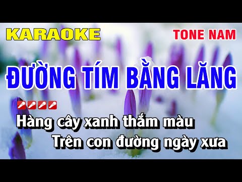 Karaoke Đường Tím Bằng Lăng Tone Nam Nhạc Sống | Nguyễn Linh