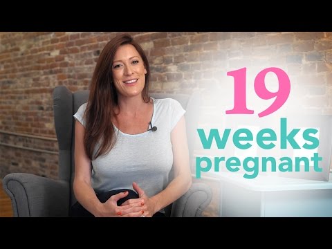 19 Weeks Pregnant - Ovia Pregnancy