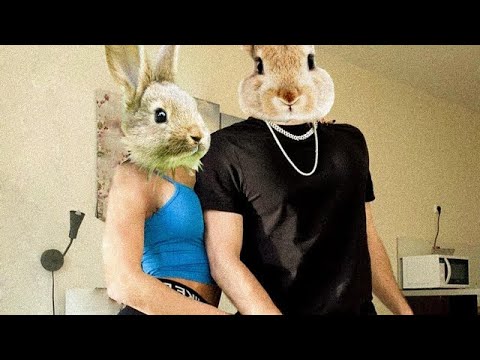 Young Alpha - Frohe Ostern