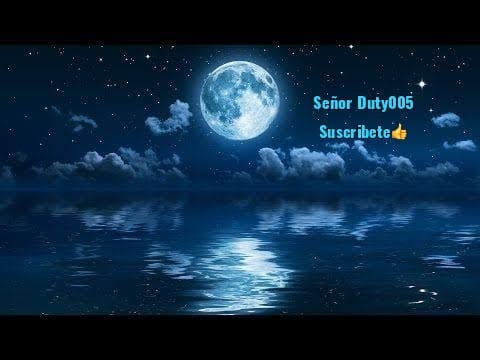 Lluvia Relajante Para Dormir - Sonido de Lluvia en Bosque Brumoso  Rain Sounds For Sleeping 10 hours