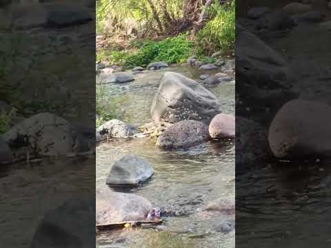 Rio Piedra larga. Condega - Estelí