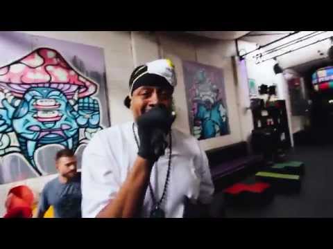 Dub Fx & Chali 2na • In Another Life