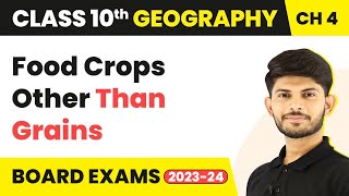 Food Crops Other Than Grains - Agriculture | Class 10 Geography 2023-24