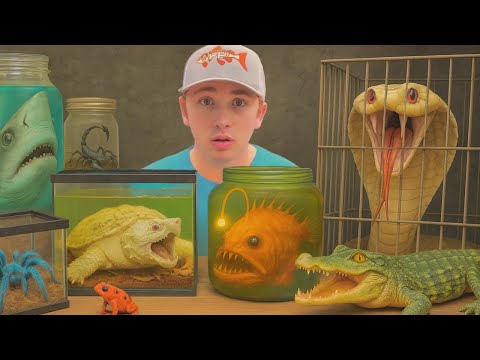 Ho comprato gli animali più letali del mondo...