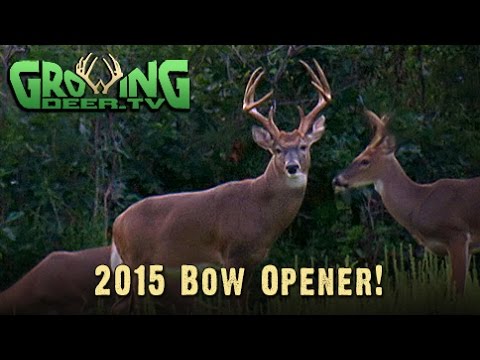 Bow Hunting: Close The Distance! (#305) @GrowingDeer.tv