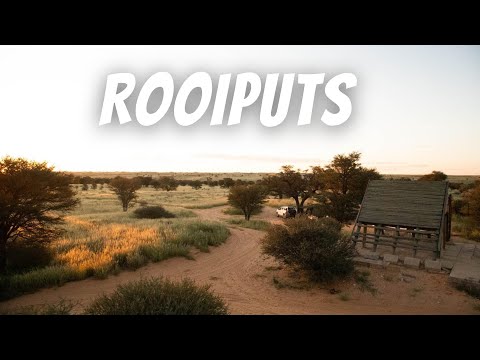 Kgalagadi - Day 3: Rooiputs. UNFENCED, UNTOUCHED AND UNBELIEVABLE!