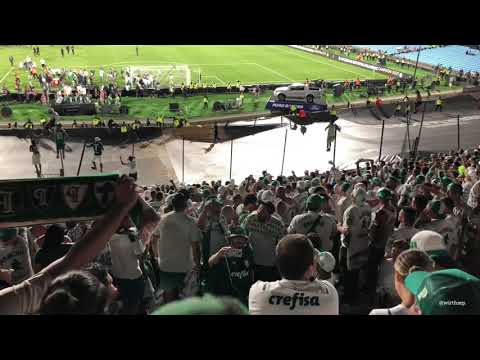 LIBERTADORES EU SOU TRI - NOVA MÚSICA DA MANCHA VERDE