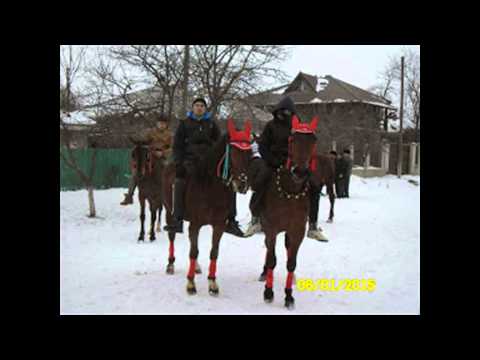 boboteaza plevna calarasi 2015