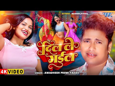 दिल ले गईल — watch video