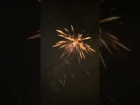 Triplex Txb 869 600 shots