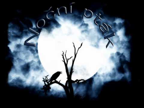 Michal Tučný - Noční pták [mp3]