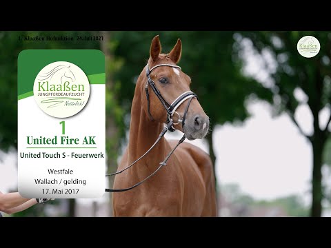 Hofauktion Klaaßen Katalog-Nr. 1 United Fire AK Wallach v. United Touch S - Feuerwerk